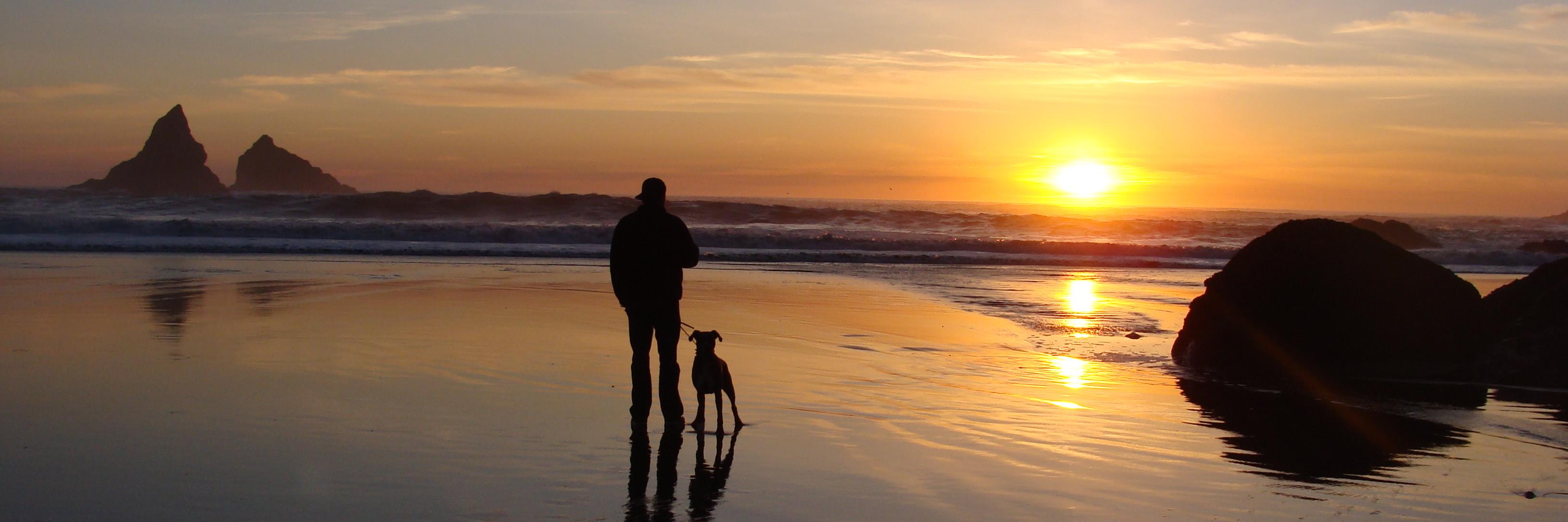 Brookings, OR banner