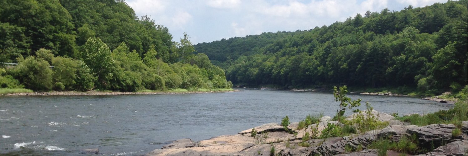 Andrew Murray banner