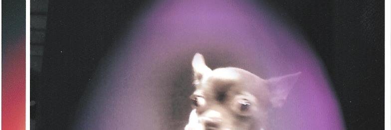 glorialbieber's profile banner image