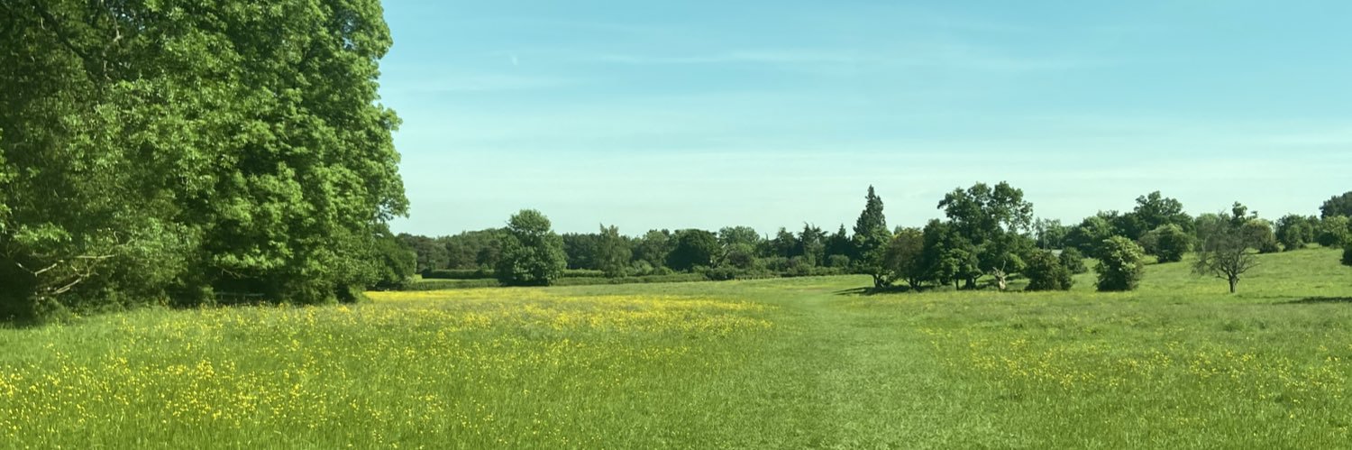 Fee Teng Liew banner