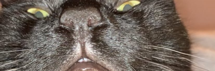aoibhmq's profile banner image