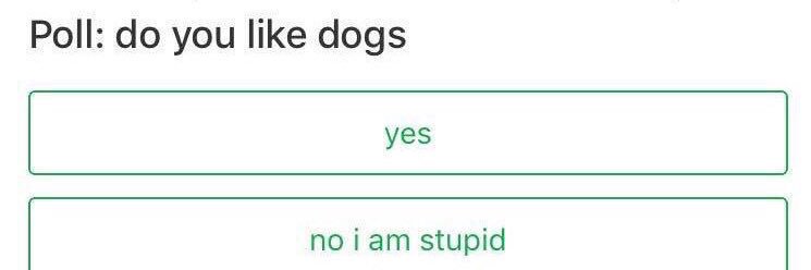 sheevanesva's profile banner image