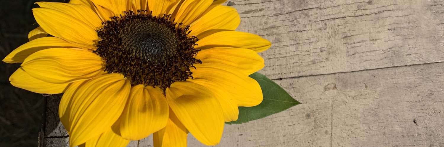 KG_d20's profile banner image