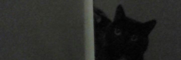 natpbr's profile banner image