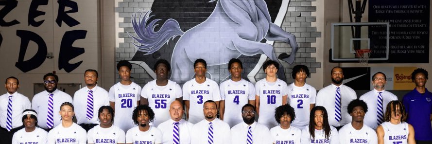 Ridge View Hoops banner