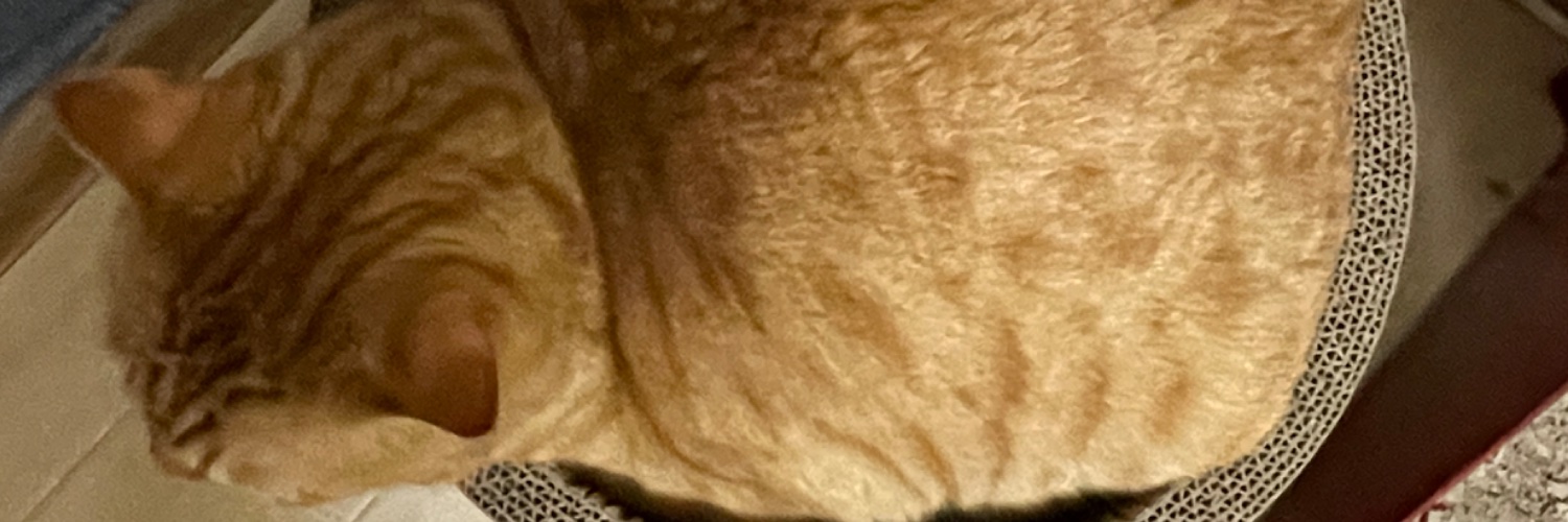 RadcliffeAnder1's profile banner image
