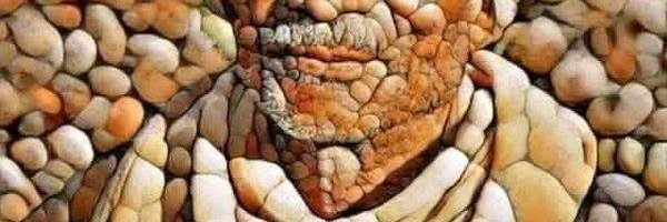 ابو محمود banner