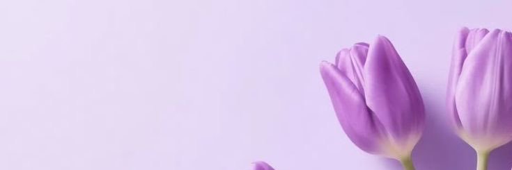 siphokazi.🫧 banner