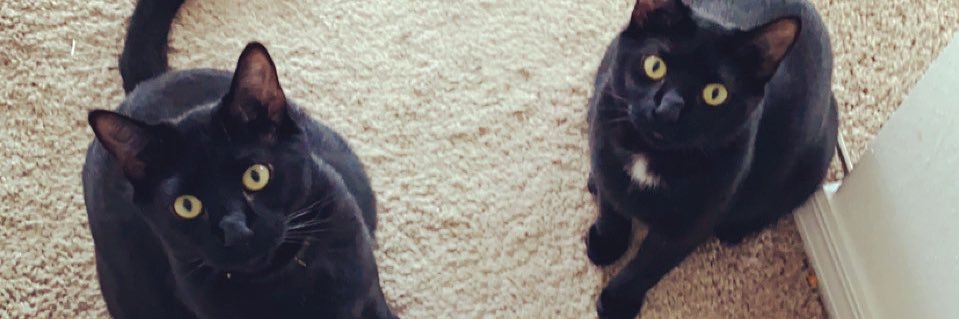 MindyMill's profile banner image