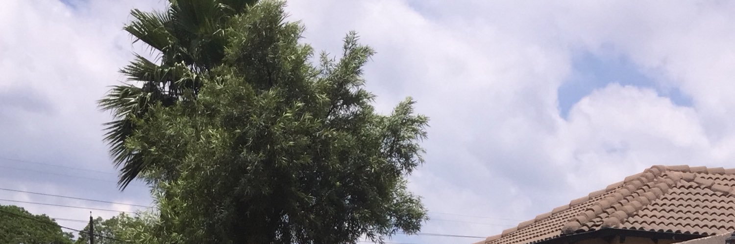 Songzn's profile banner image