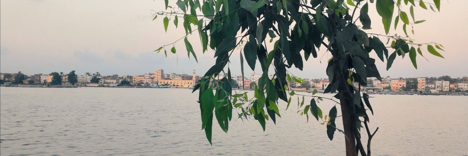 M_Boooum's profile banner image