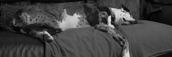 sherri_m_c Profile Banner