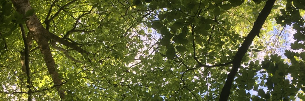 natmo26's profile banner image