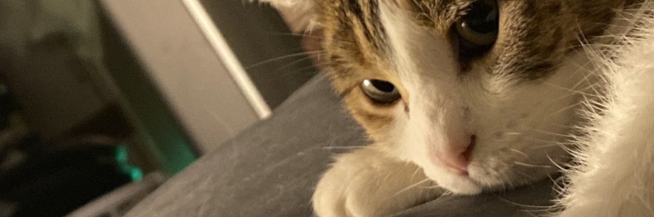 MavManager2000's profile banner image