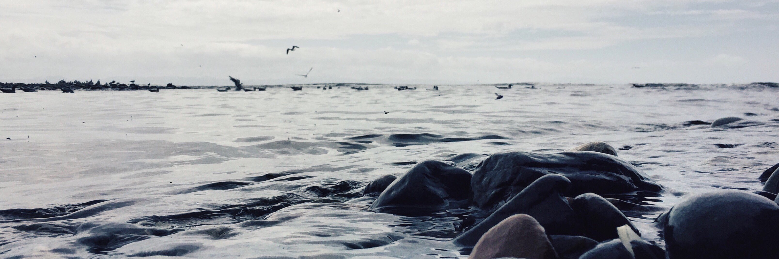 Nate de Jager banner