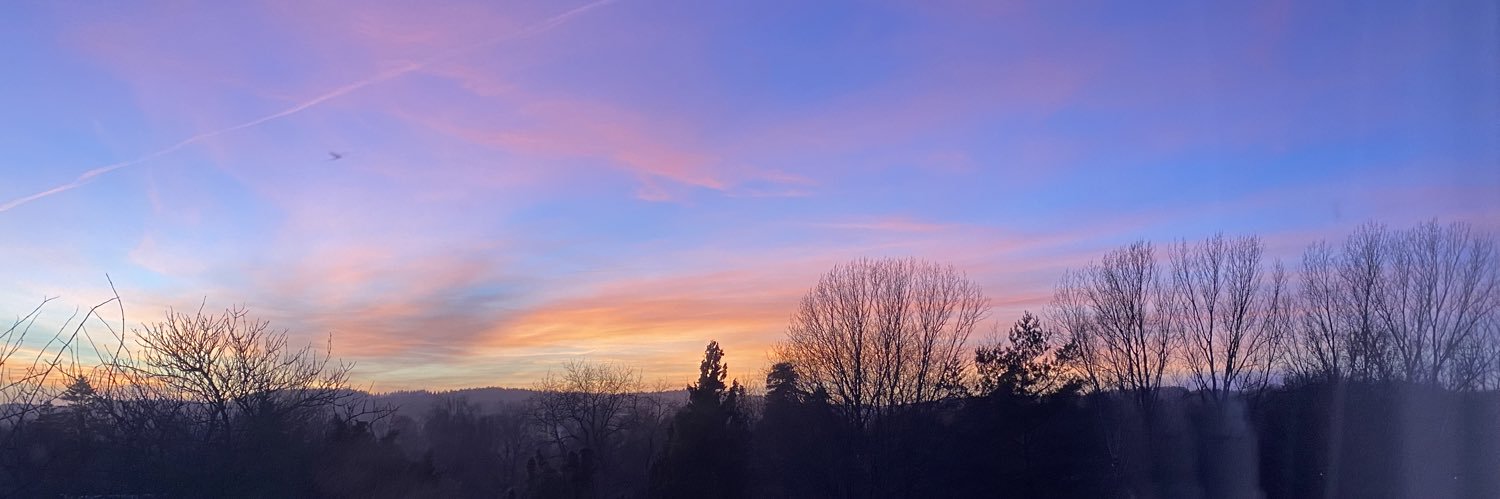 Ann-Sofie Alm banner