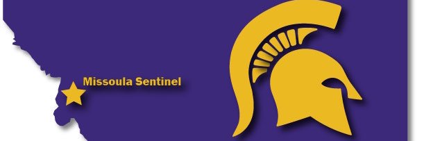 Sentinel Basketball banner