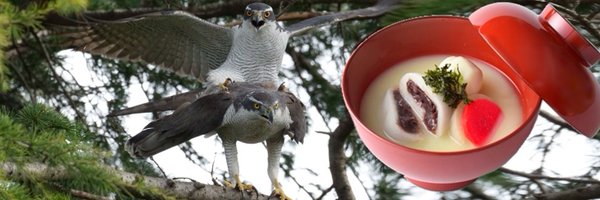 KV_II Profile Banner