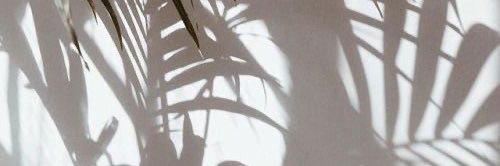 の banner