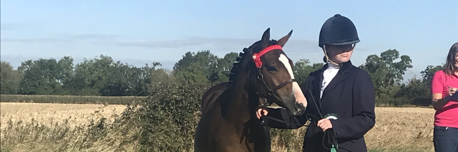 OPEquestrian's profile banner image