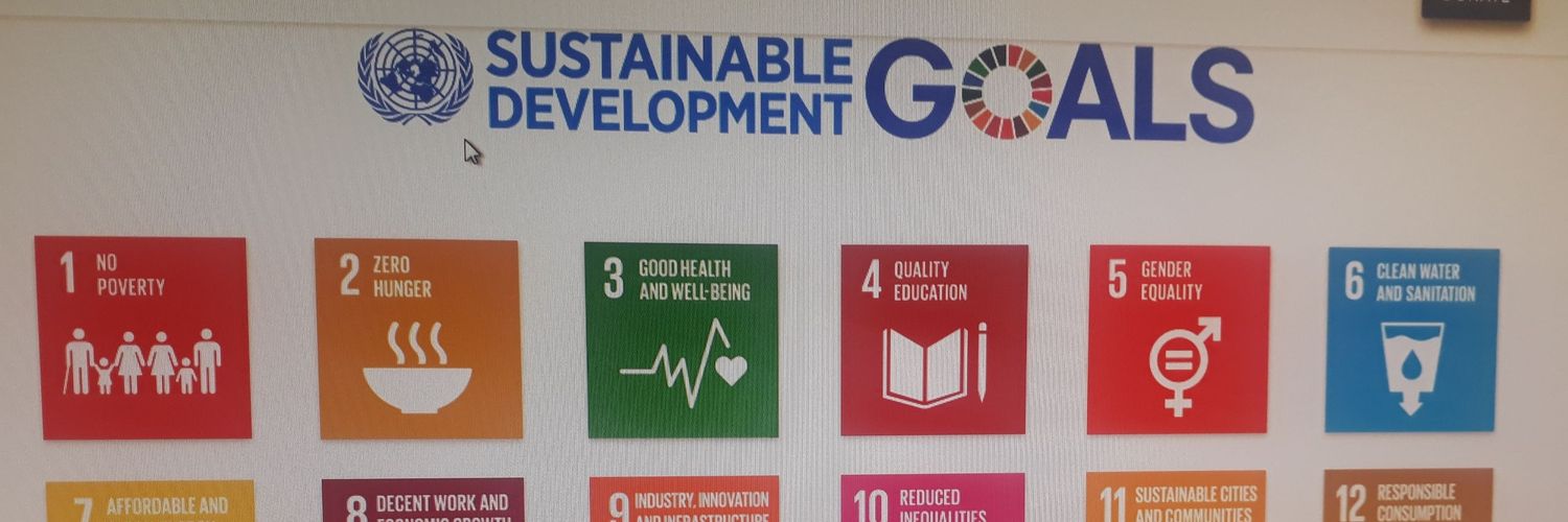 Lemayan Chief banner