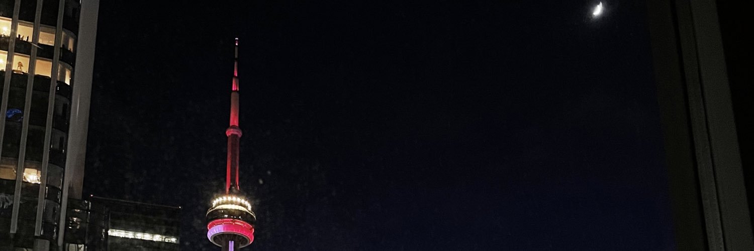 ShalynFerdinand's profile banner image
