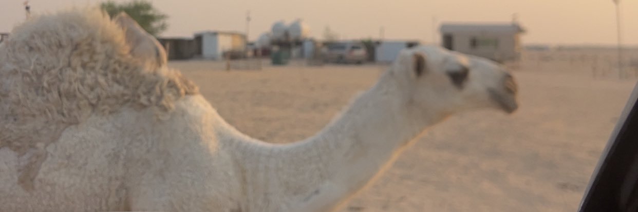 عبدالرحمن غلاب الهاملي banner