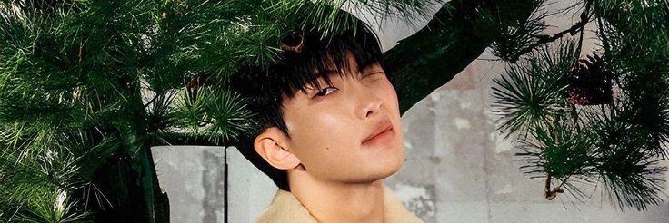 nnmjooni's profile banner image