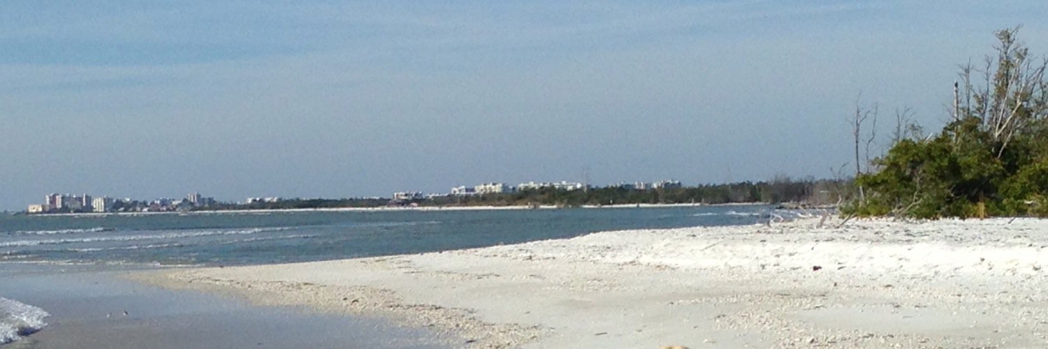 FREprincipal's profile banner image