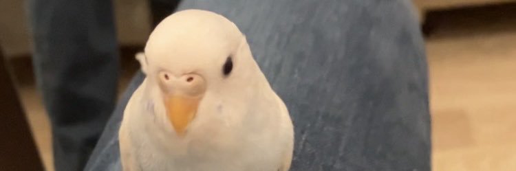 JeemSpace's profile banner image