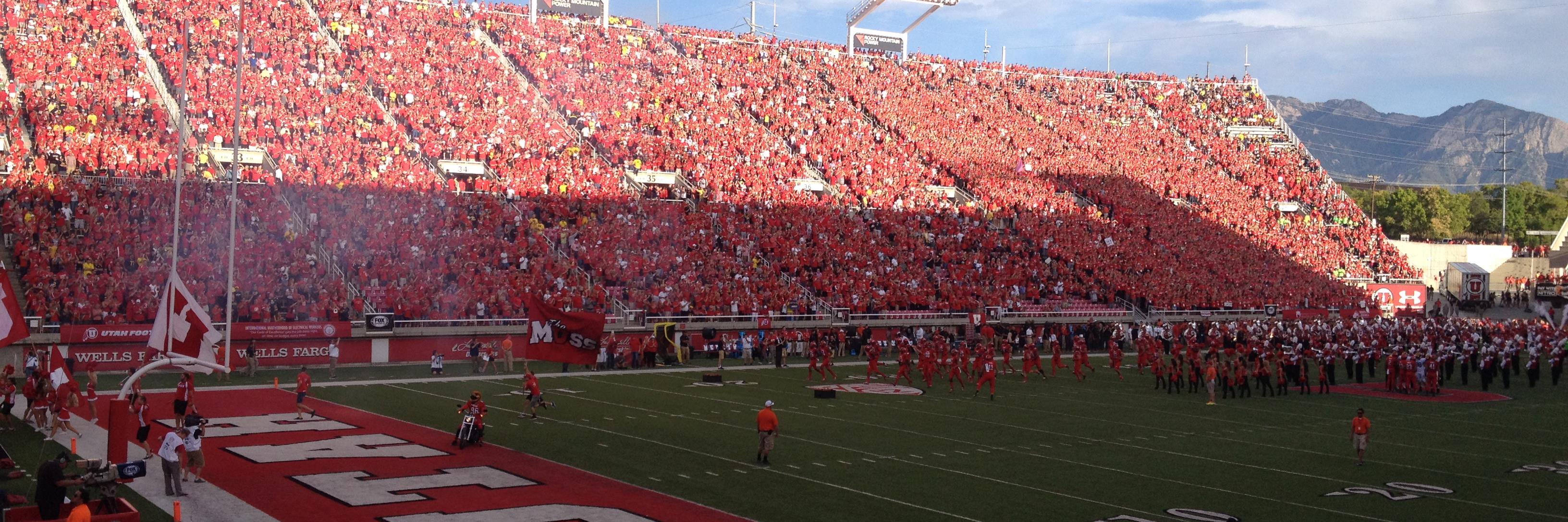 Michelle Reed banner