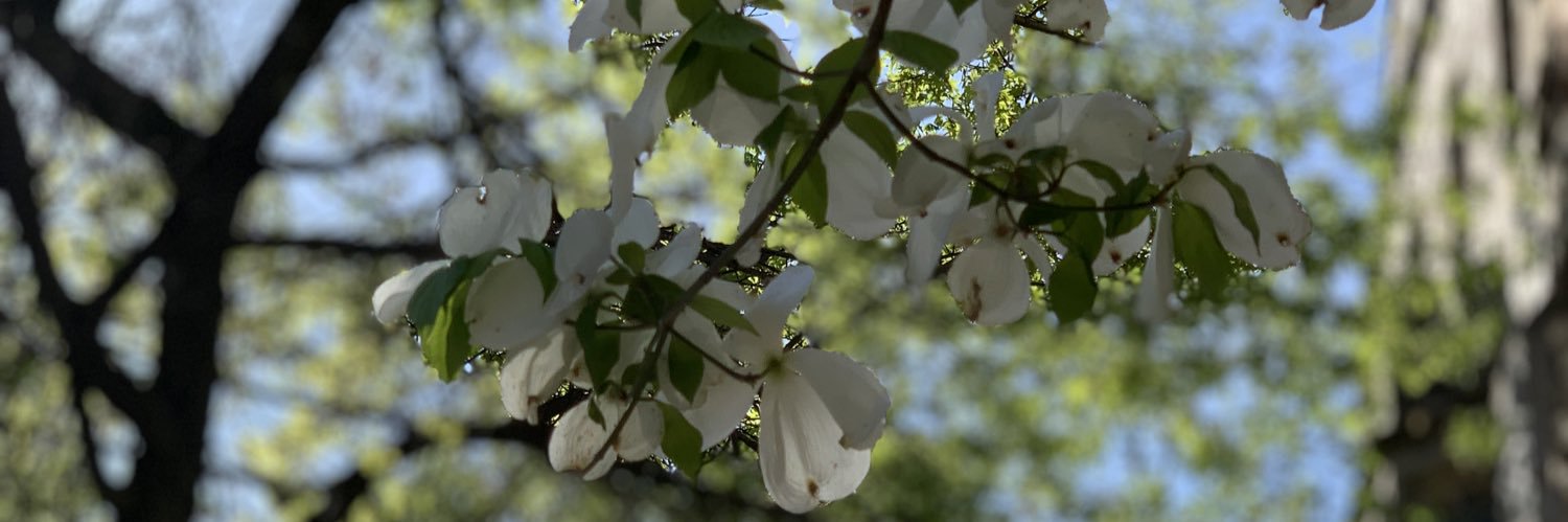 Kelvin Rutledge, Ph.D. banner