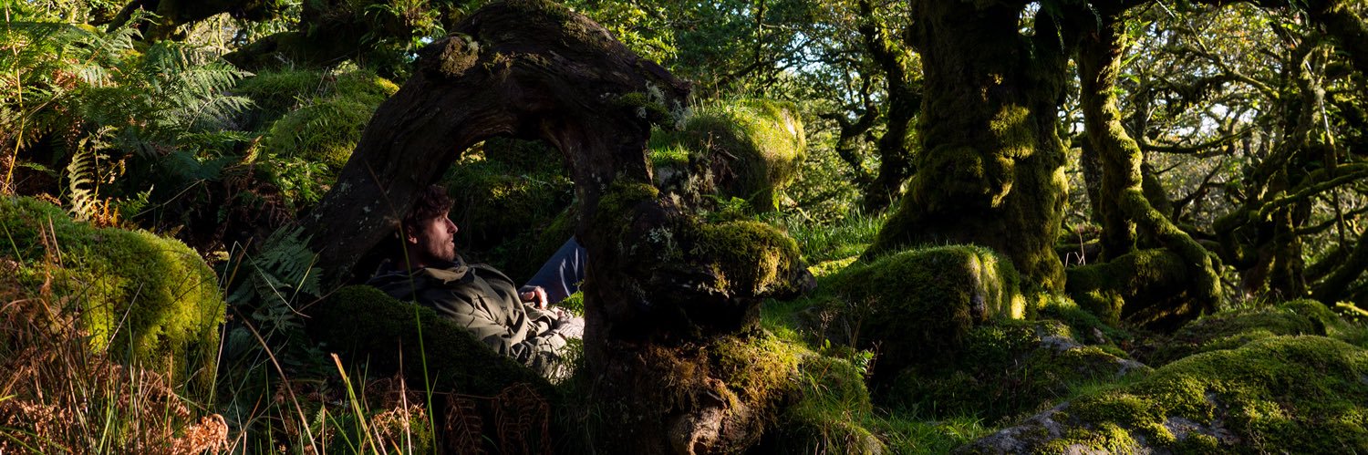 William Parsons banner