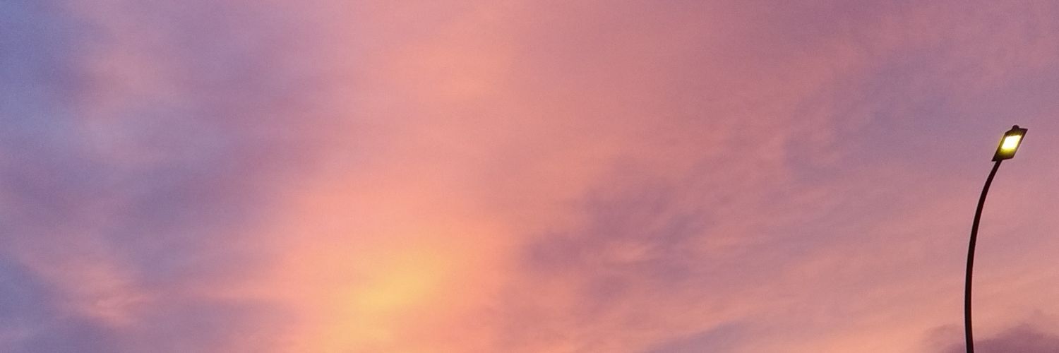 riztiantian's profile banner image