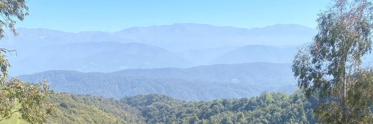eliasmanzilla9's profile banner image