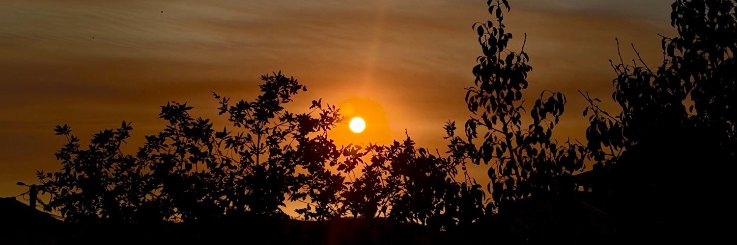 CostalPedro's profile banner image
