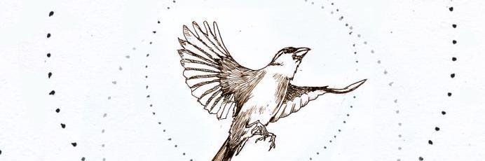 mulsrooney's profile banner image