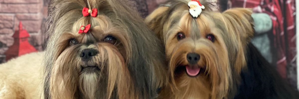 Bruhh_G's profile banner image