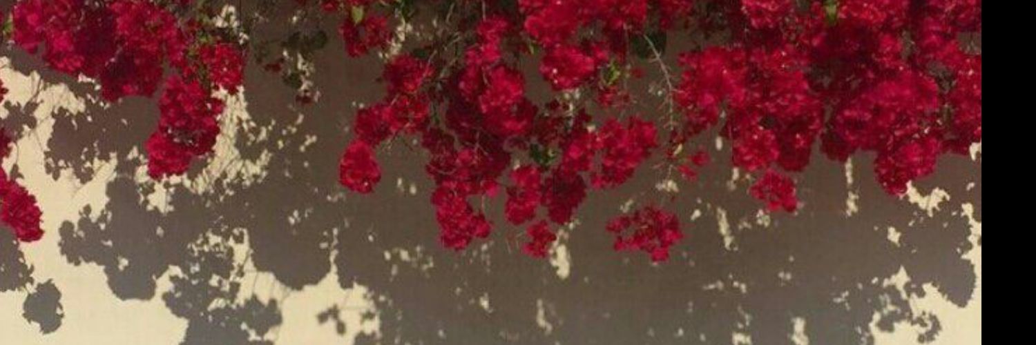 ~AmorHaciaLosMíos~ ✨ banner