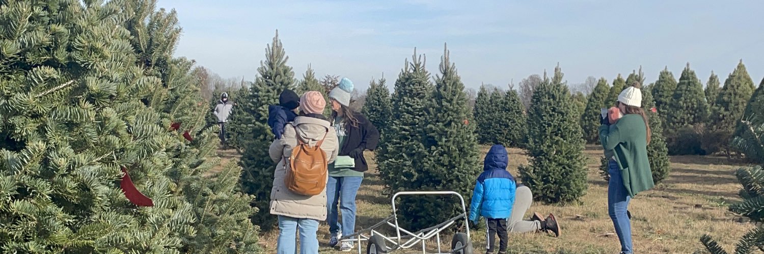 Dull's Tree Farm banner