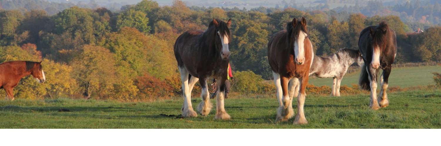 Clydesdale_Fun's profile banner image