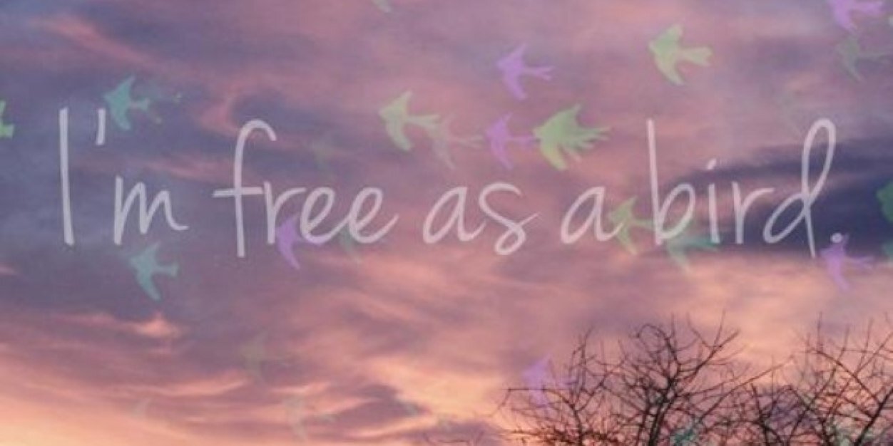SavannahGRoses's profile banner image