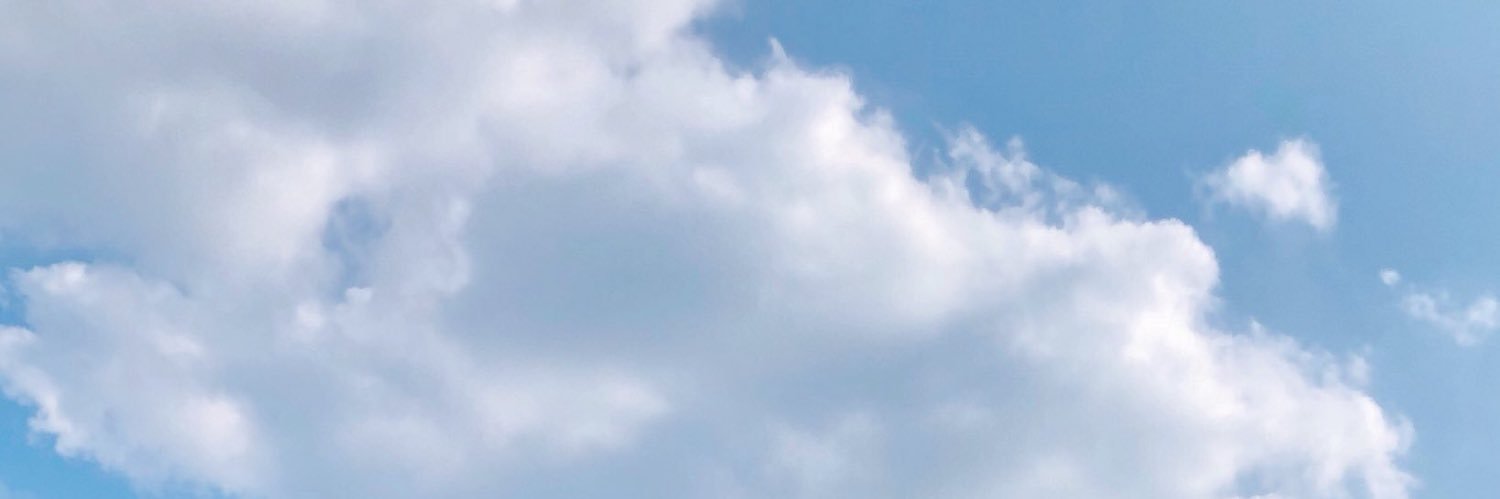 大沢ケイト banner