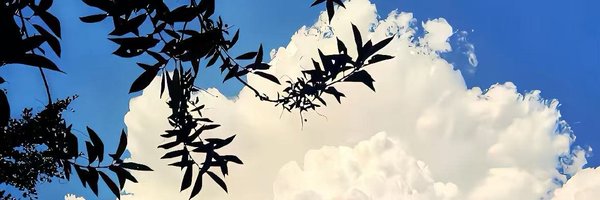 Brainny_eth banner
