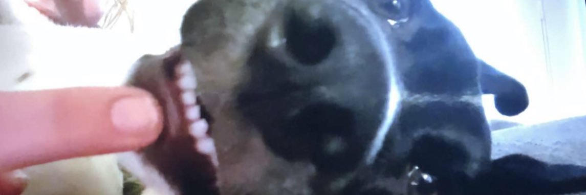 morrisonjaelyn's profile banner image