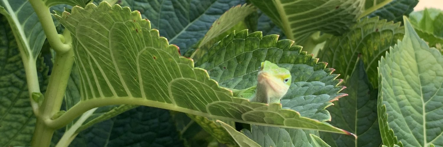 ChelssKett's profile banner image