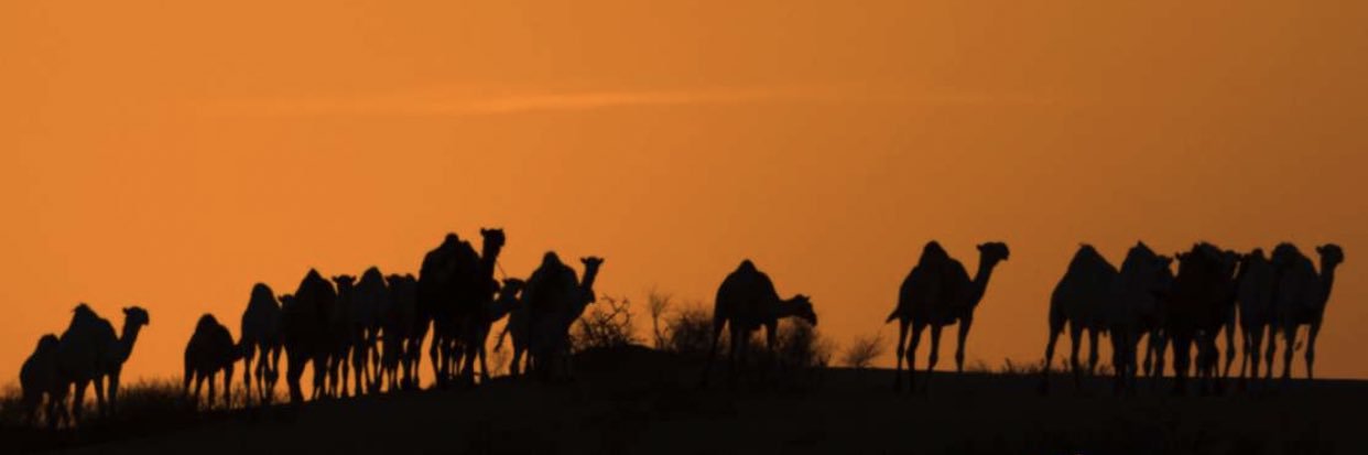 shmr_965's profile banner image