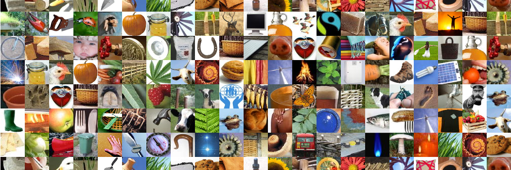 Lowimpact.org (LILI) banner