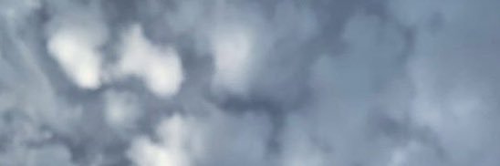 raneemlion's profile banner image