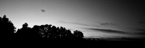 rreichel3 Profile Banner